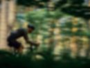 Sebastian Rzepka Photography